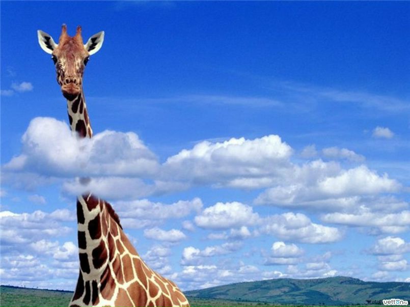 №50, Герман Зайцев, 28 лет, Киров №50, Герман Зайцев, 28 лет, Киров