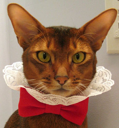 №53, Катя Полищук, 33 года, Москва №53, Катя Полищук, 33 года, Москва