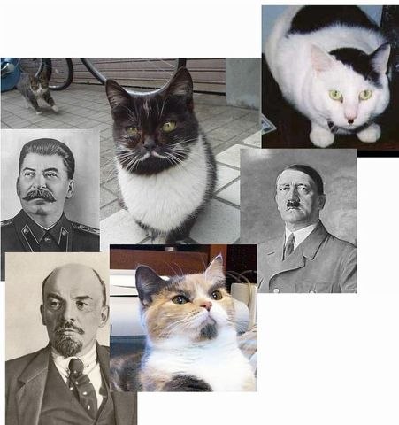 Дмитрий Човган | Брест