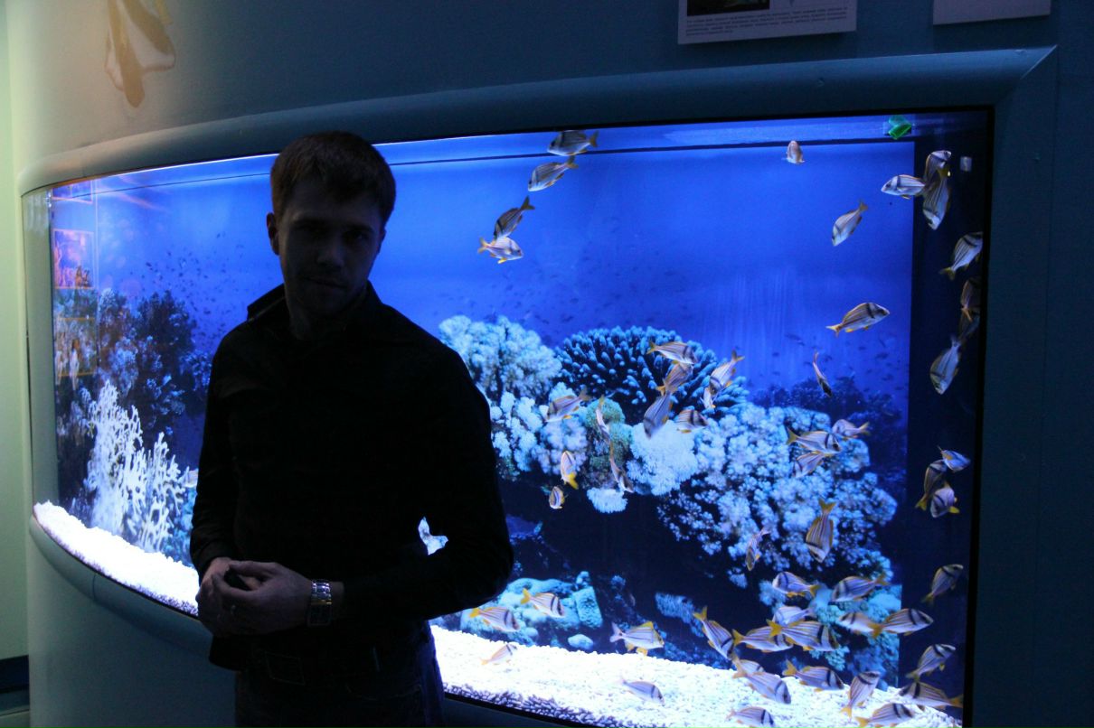 Александр Чукмарёв | Санкт-Петербург