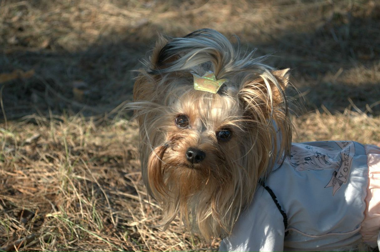 Нина Старикова | Киров