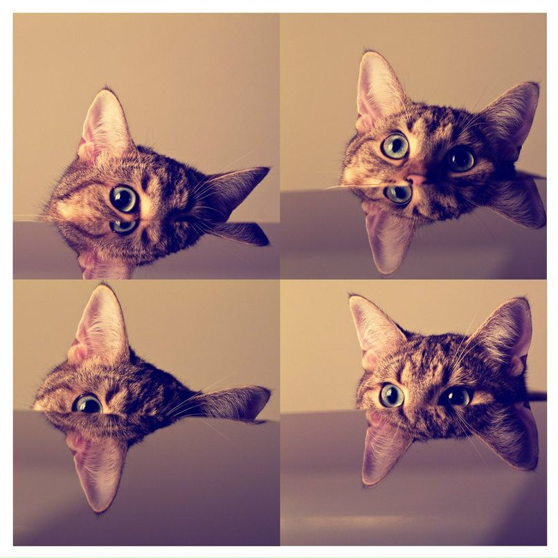 Юлия Луппиан | Санкт-Петербург