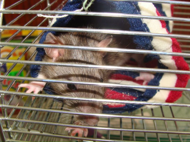 Виктория Ярошенко | Москва