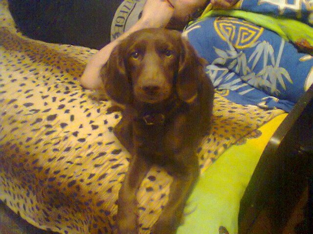 Александр Карпенко | Бердянск