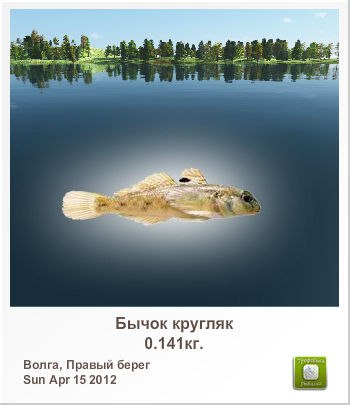 Санёк Сизов | Саратов