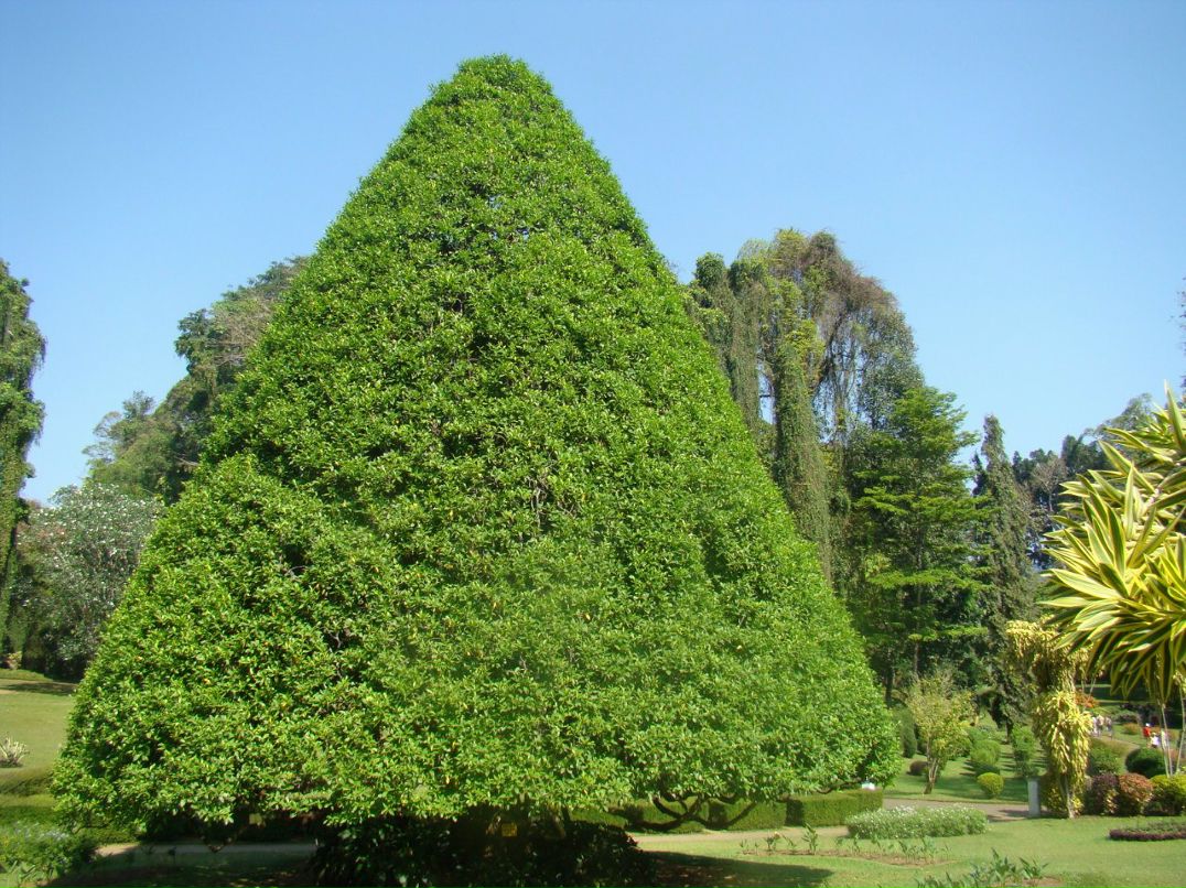 Олег Ройко | Харьков