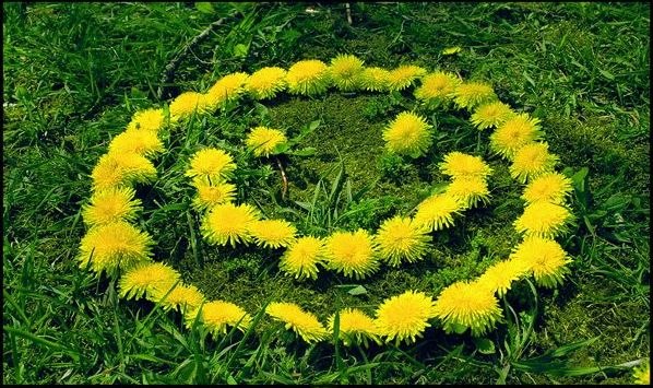 Дарья Гринюк ОДУВАНЧИК | Одесса