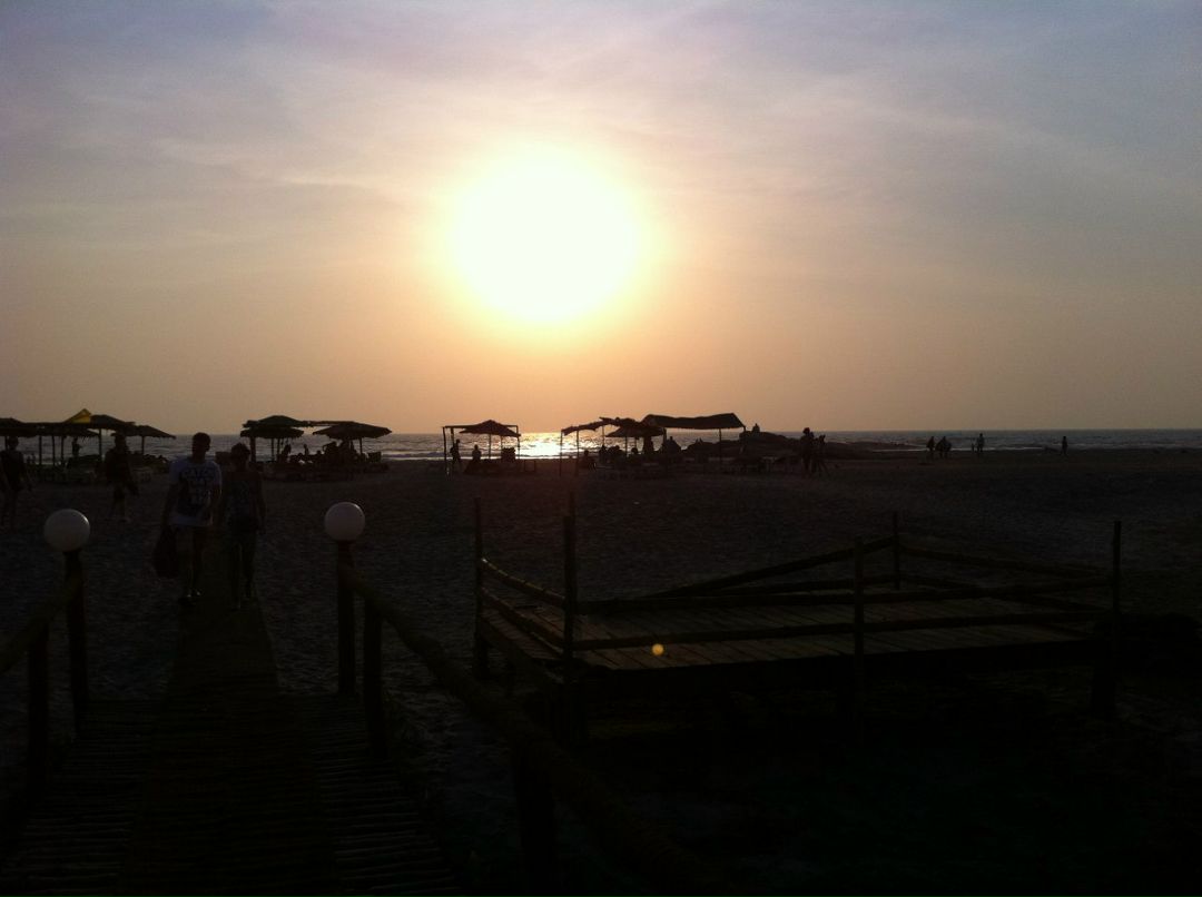 Светлана Ларина | 