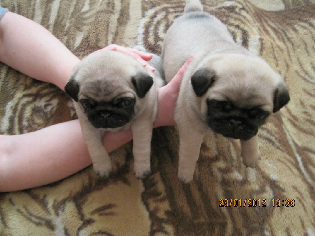 Марина Викентьева | Санкт-Петербург