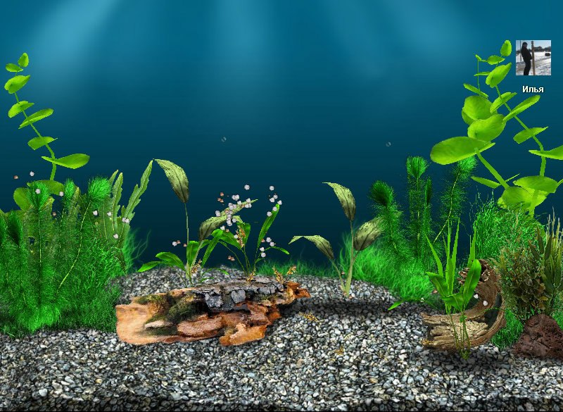 Евгений Жук | Переяслав-Хмельницкий