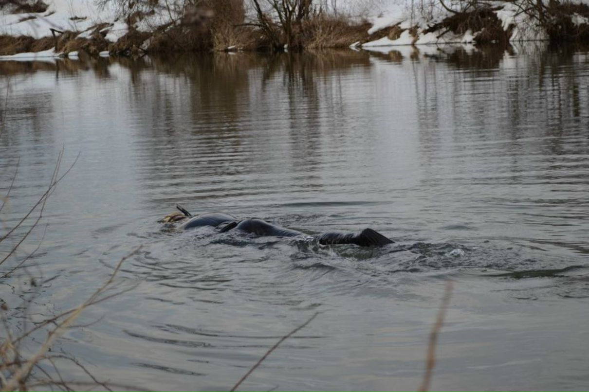 Константин Терёхин | Калуга
