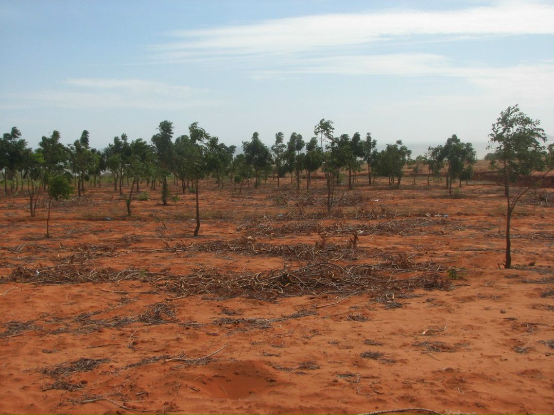 Дима Вдовин Хум | Москва