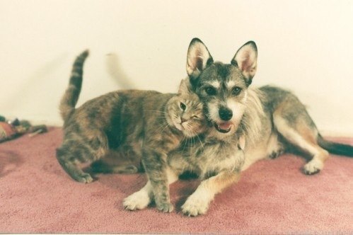 Игорь Зайцев | Белоозёрский