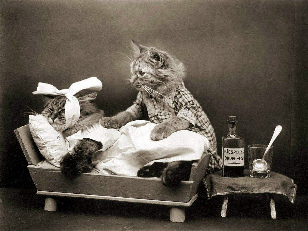 Анастасия Шеренко | Санкт-Петербург