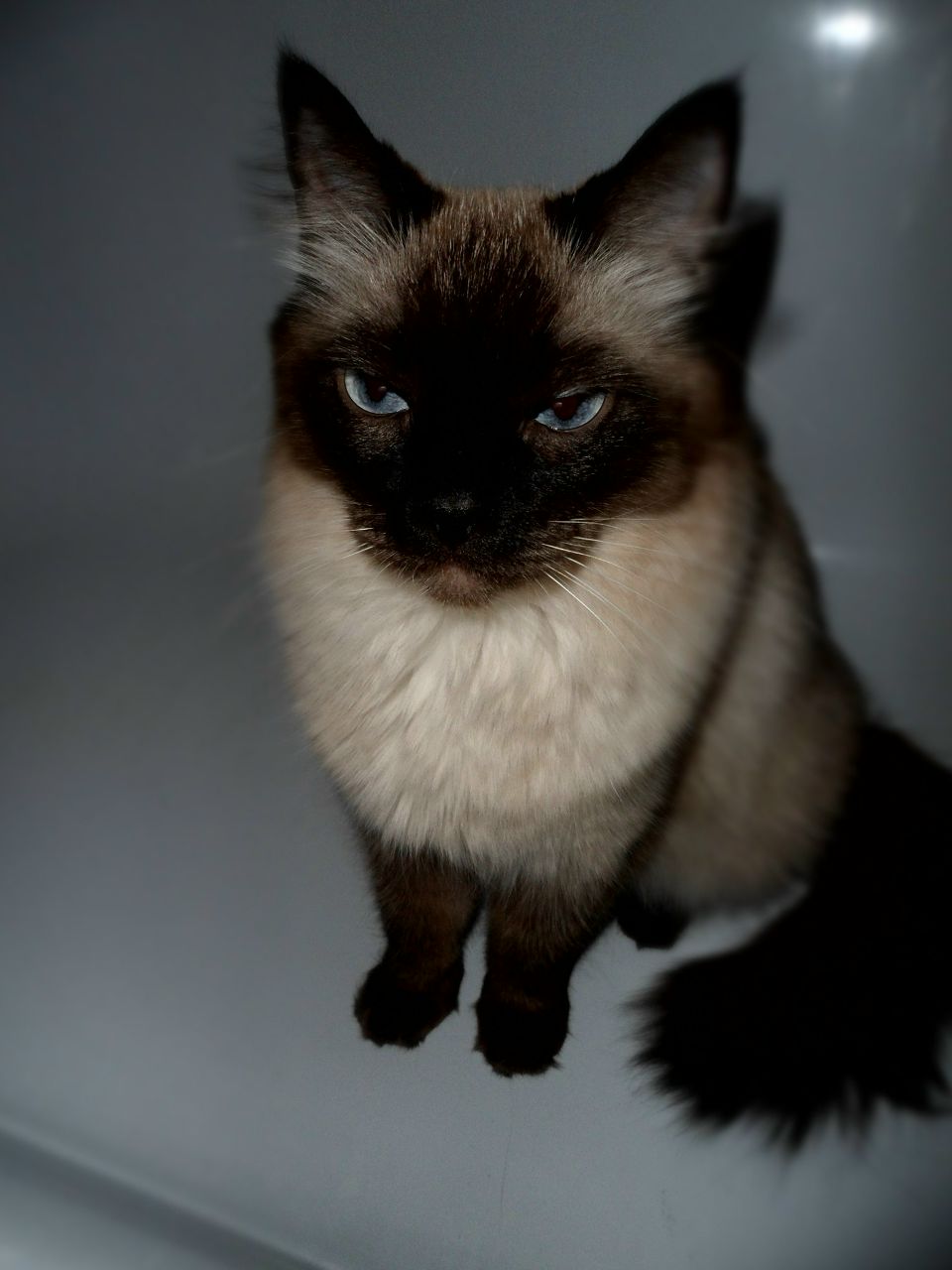 Елена Perhonen | Астрахань