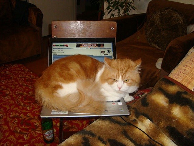 Ирина Колган | Ялта