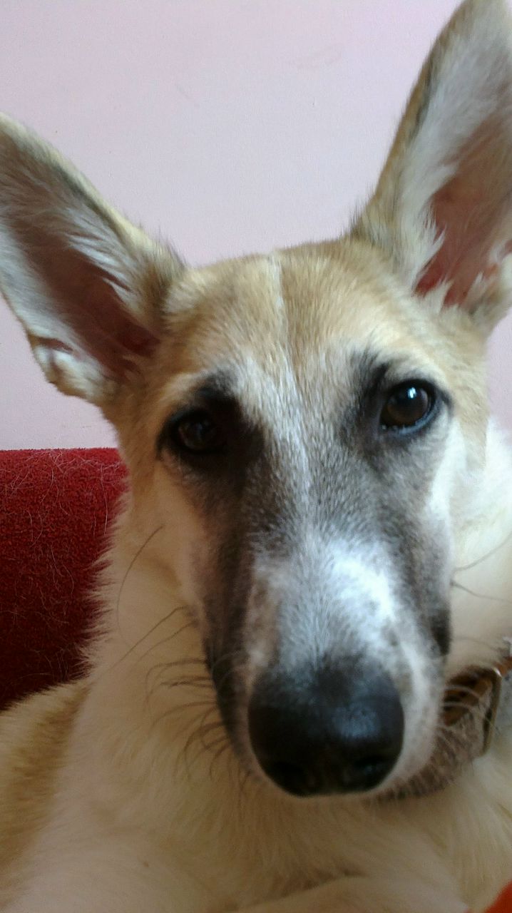 Илья Якубов IL-2 | Липецк