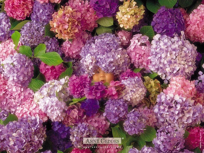 Кристина Зубавичуте | Бронницы