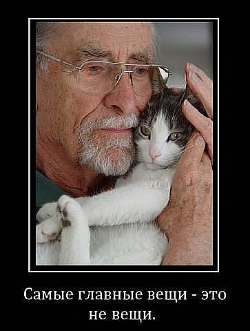 №172, Иринка Джатиева №172, Иринка Джатиева