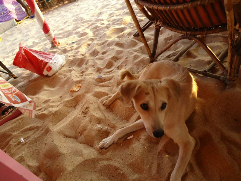 Дмитрий Миронов | Москва