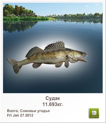 Александр Силин | Великие Луки