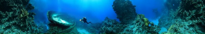 Lisa Fox | Newcastle upon Tyne