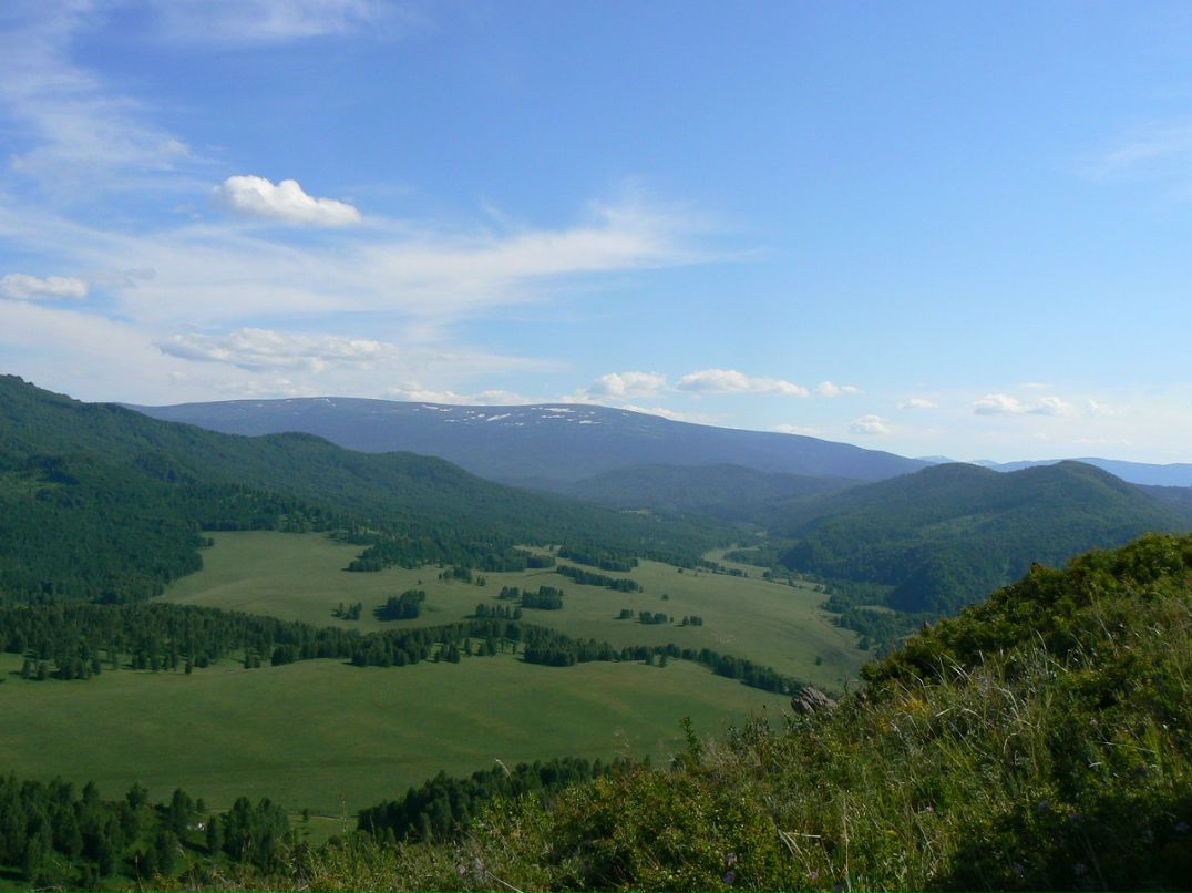 Вячеслав Рощин | 