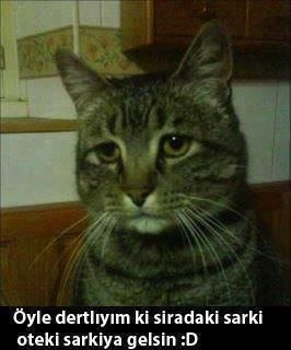 Ramazan Ceylan | Antalya