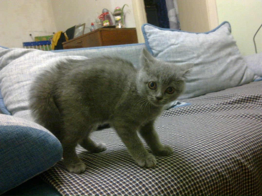 Надежда Шеменкова | Донецк