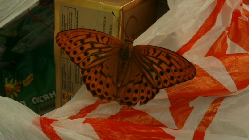 Александр Щербаков | Петрозаводск