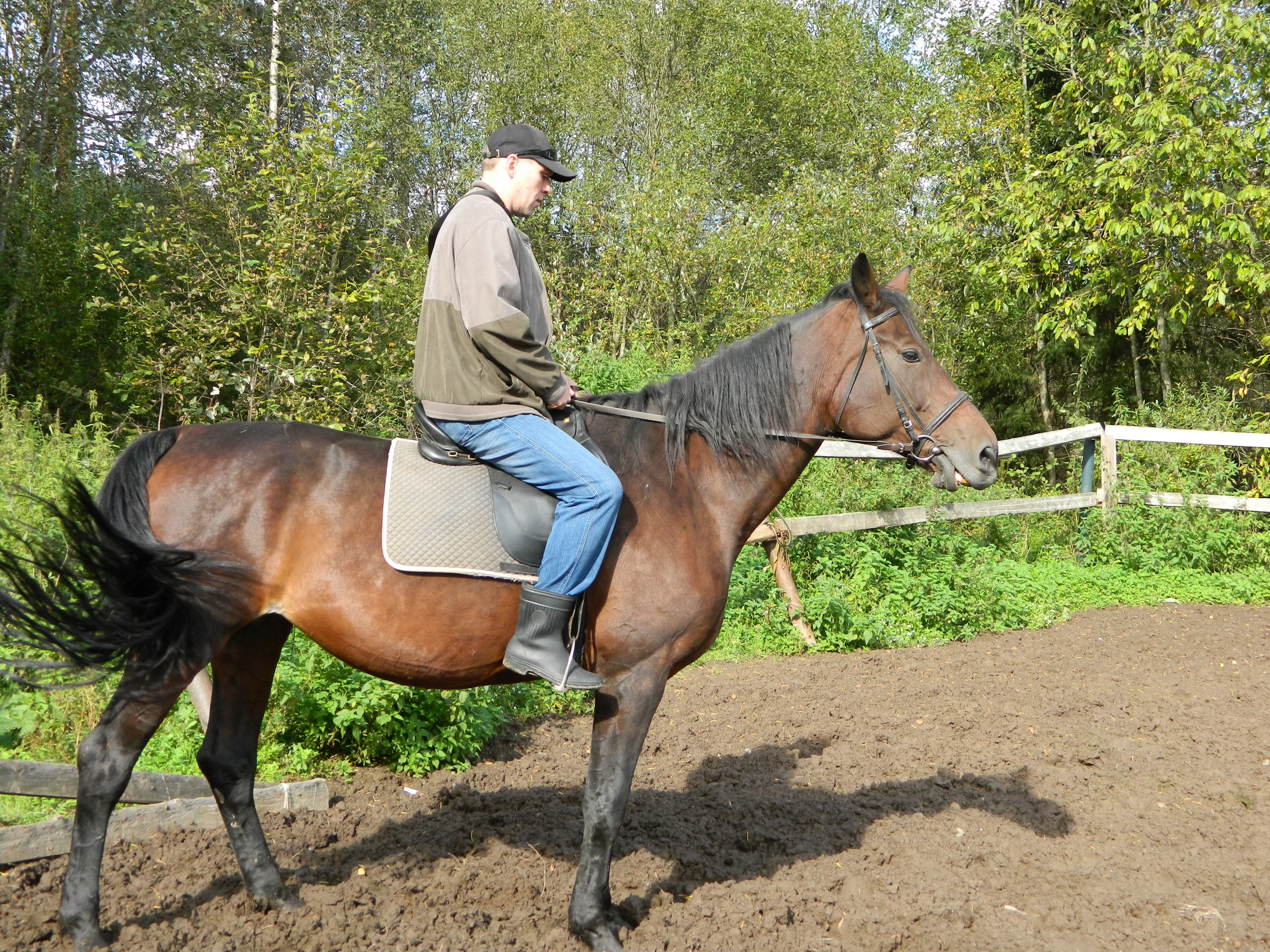 Фото профиля