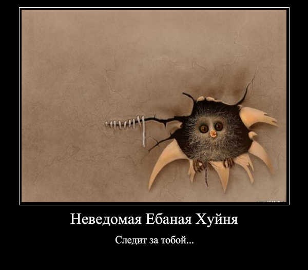 Линар Мирхалимов фото со стены #6