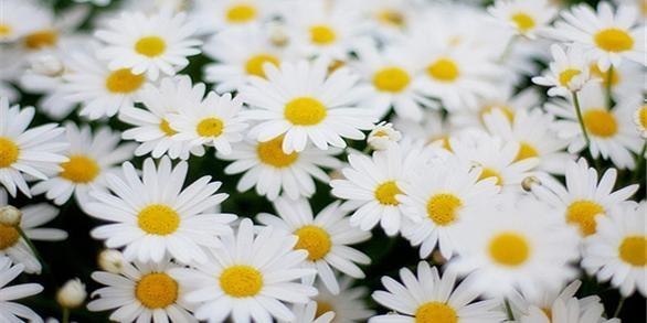 Кристина Журанкина | Самара