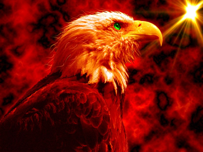 Артем Товмасян | Сумы