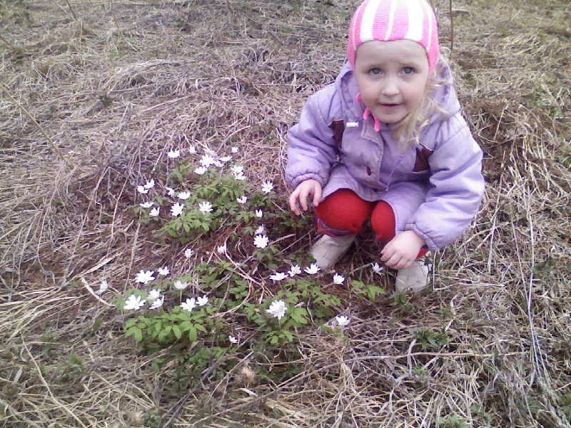 Ольга Шмигельская | Нюксеница