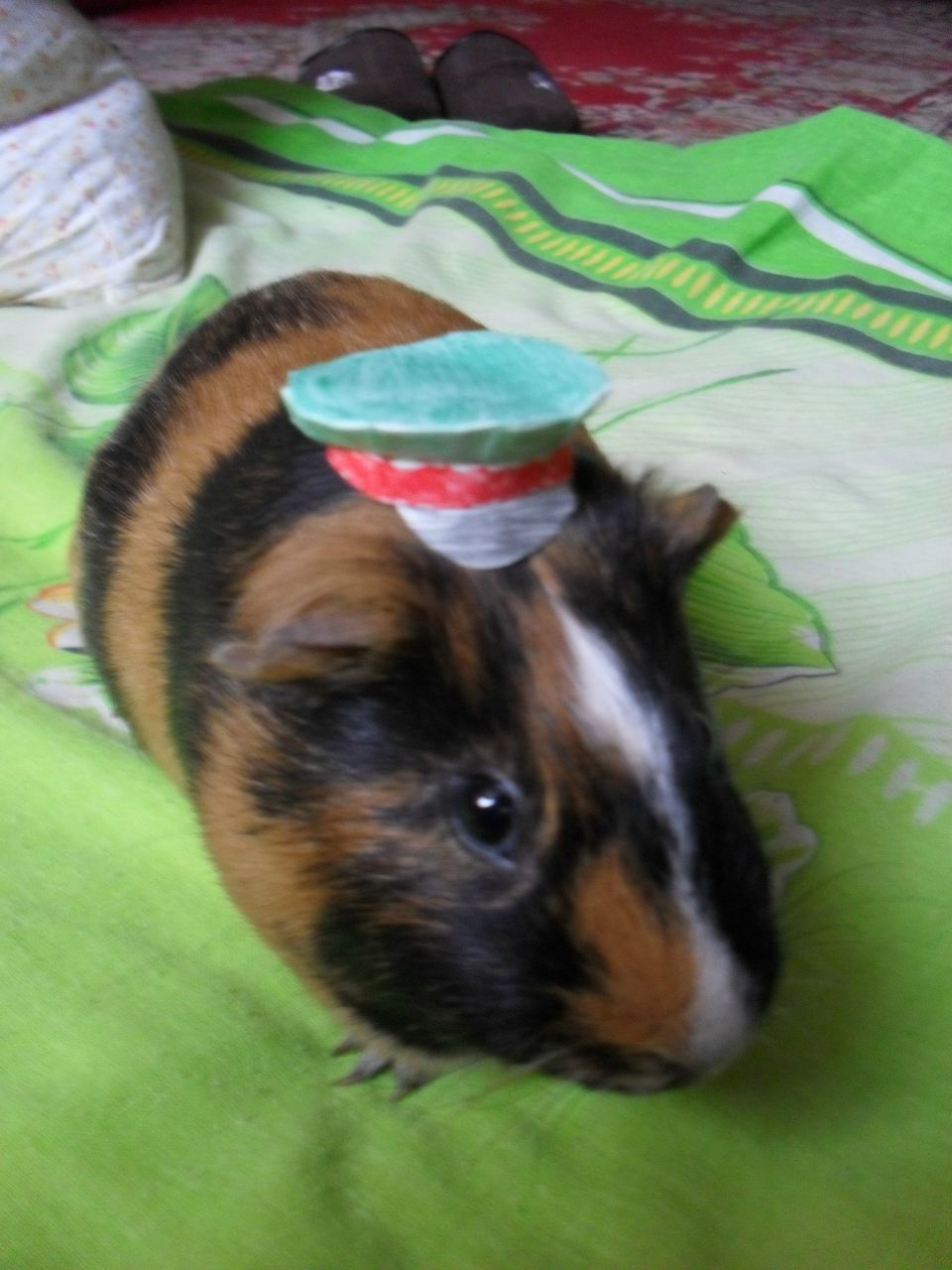 Родион Жедин | Москва