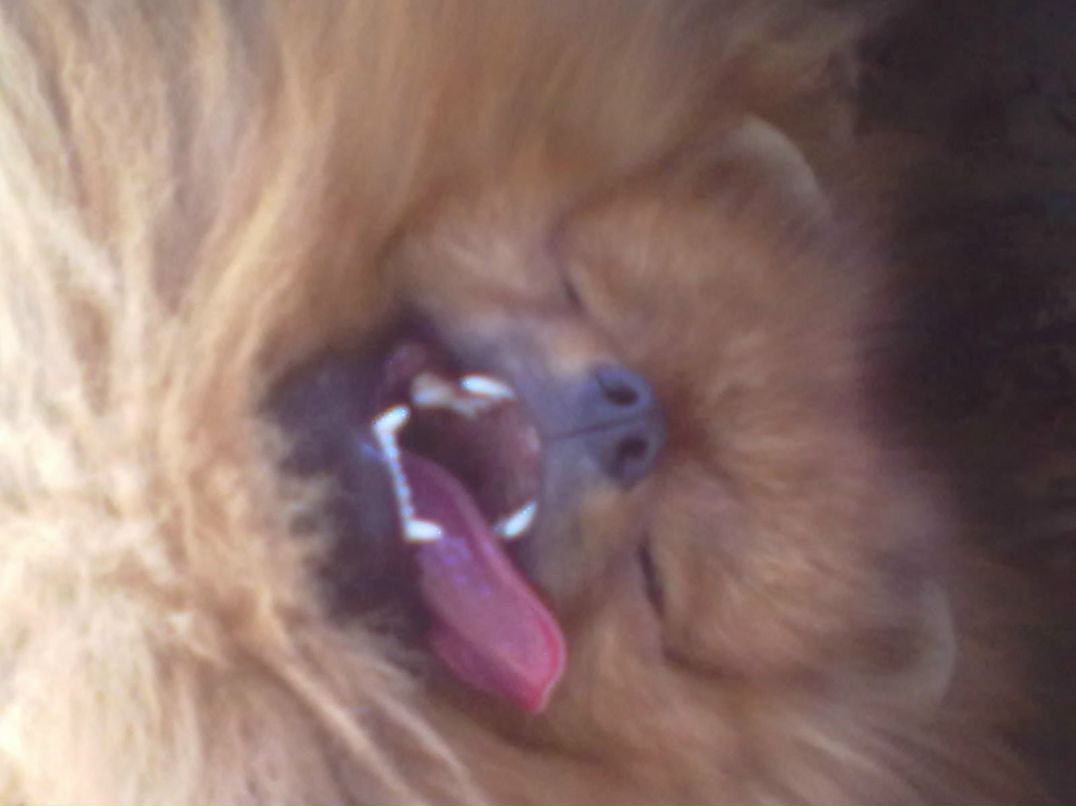 Маргарита Сонни | Санкт-Петербург