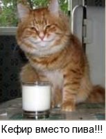 Игорь Зайцев | Санкт-Петербург