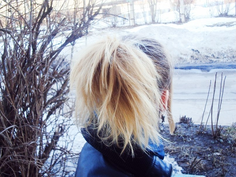 Елена Шмелева | Сланцы