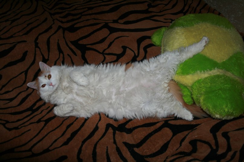 Олеся Никольская | Балашиха