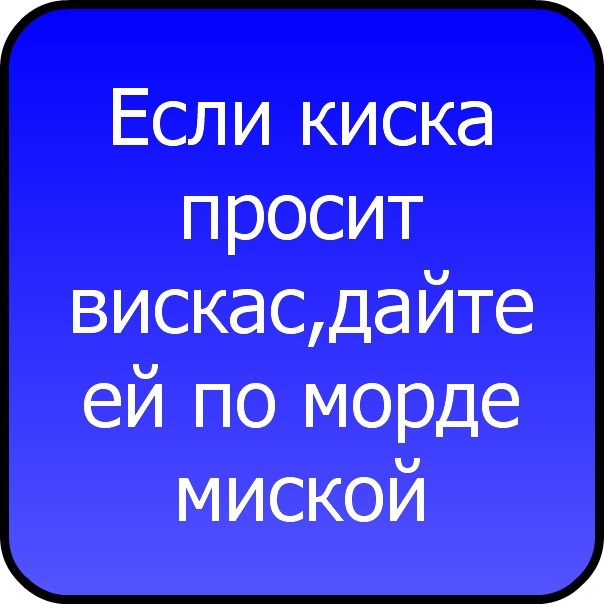 №5, Вика Иванова №5, Вика Иванова