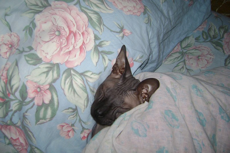 Екатерина Соловьева | Коряжма