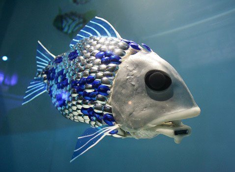 Иван Рыбинцев Александрович | Ростов-на-Дону