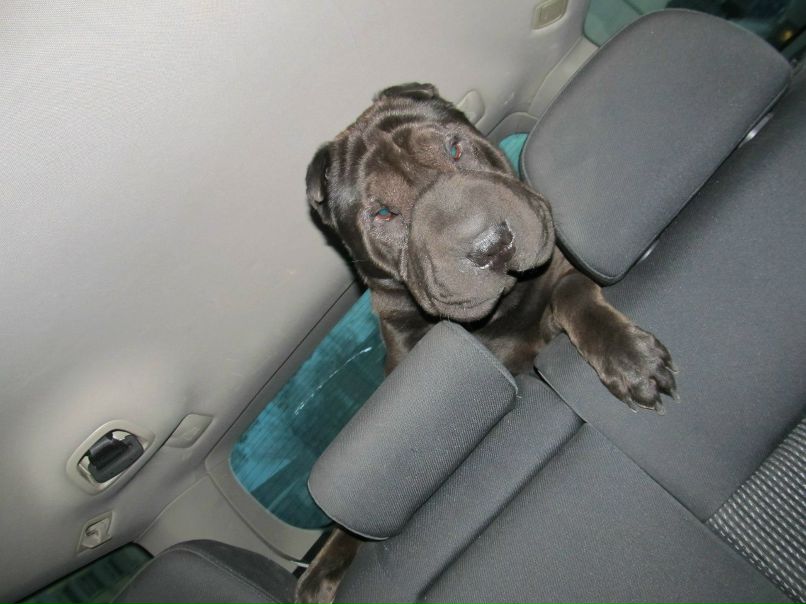 Ярослав Осташук | Екатеринбург