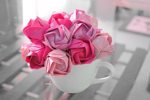 Віка Царук ▲ | Красилов