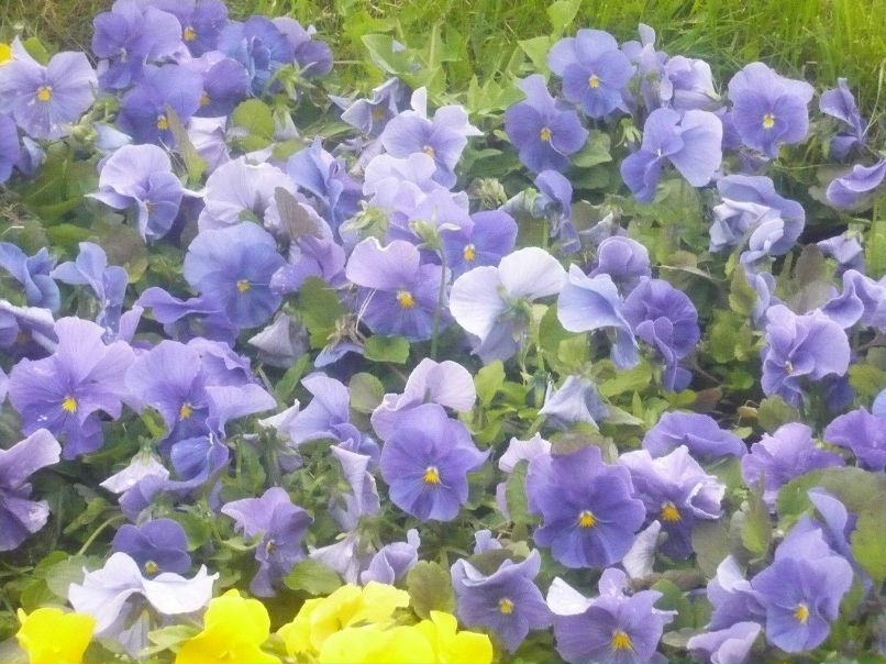 Лариса Бортник | 