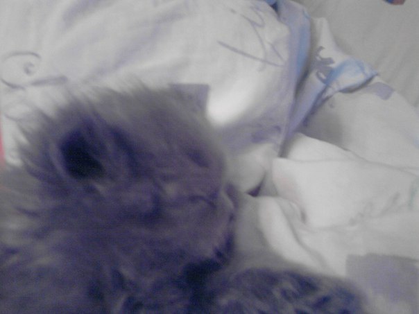 Anya Rozova | Санкт-Петербург