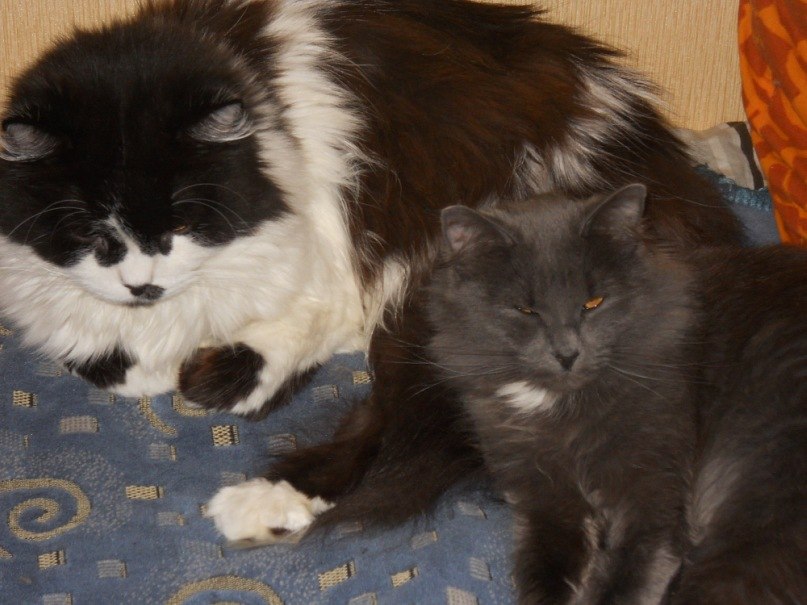 Маришка Бурикова | Ярославль