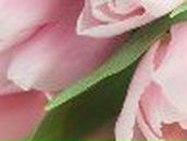 Людмила Хома | Нововолынск