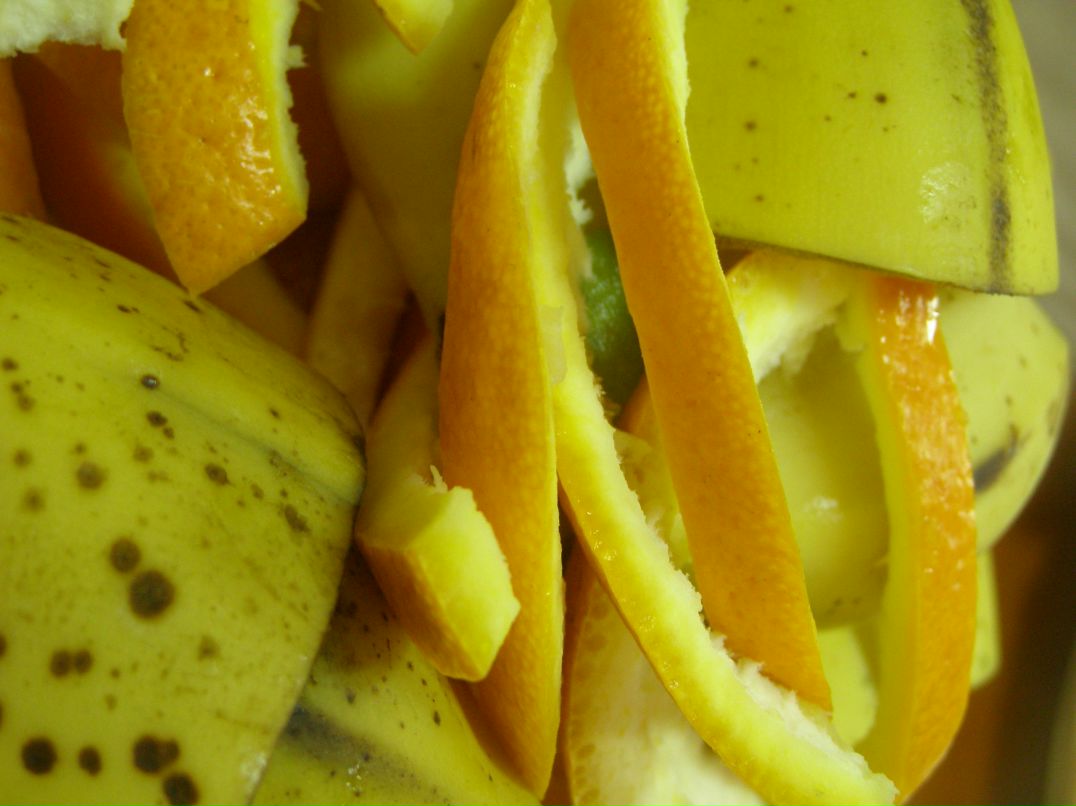 Анюта Швачко | Харьков